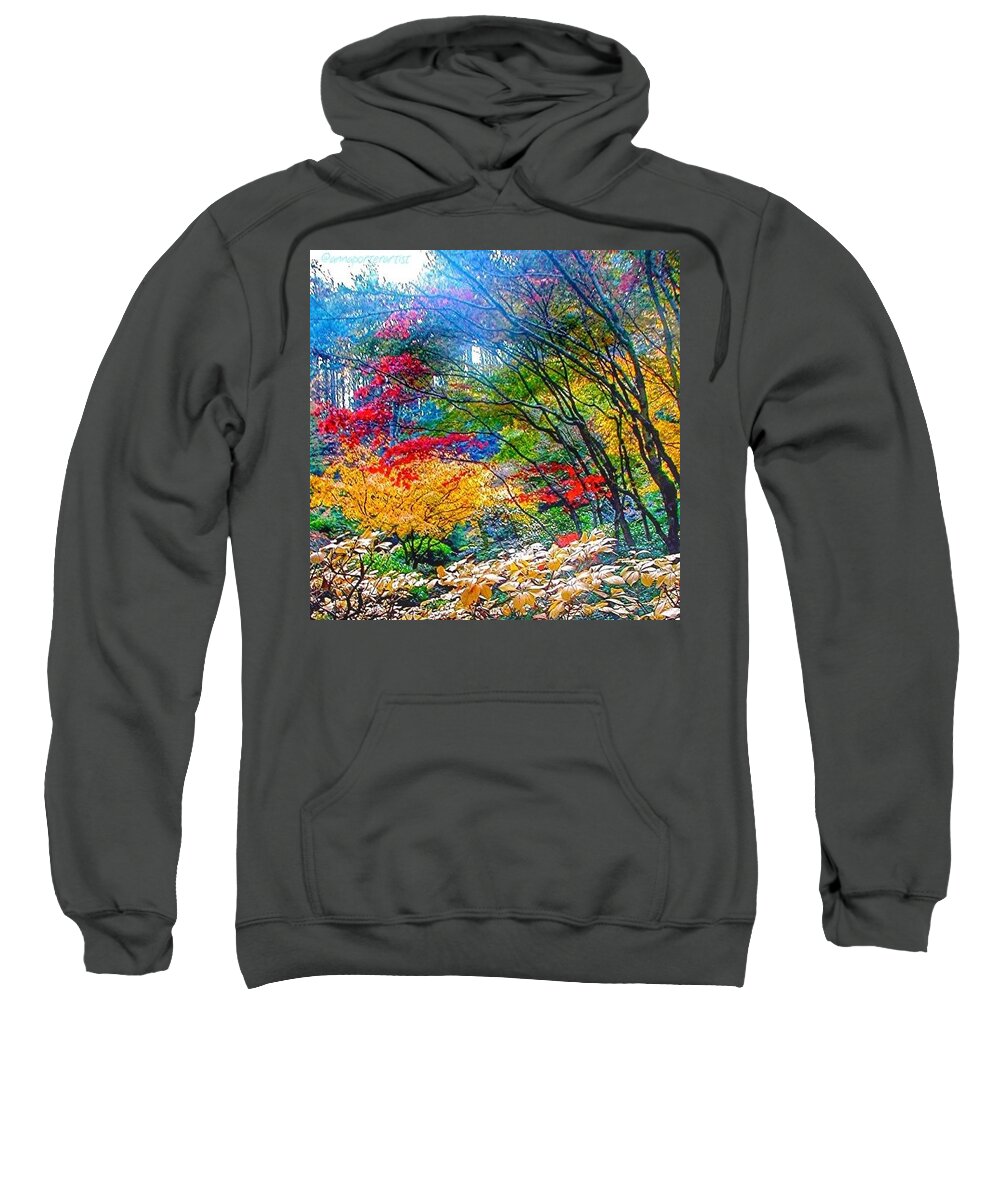 Nature In All Its Glory Sweatshirt featuring the photograph Nature in all its Glory by Anna Porter