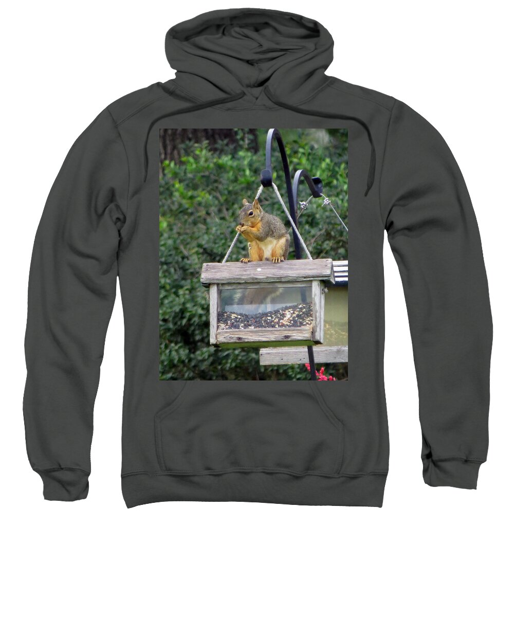 Squirrel Sweatshirt featuring the photograph Squirrel by Ella Kaye Dickey