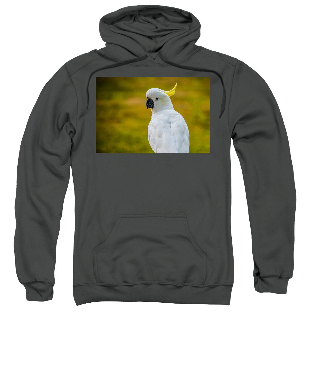 Acrylic Print Sweatshirt featuring the photograph Sulphur-crested Cockatoo by Harry Spitz