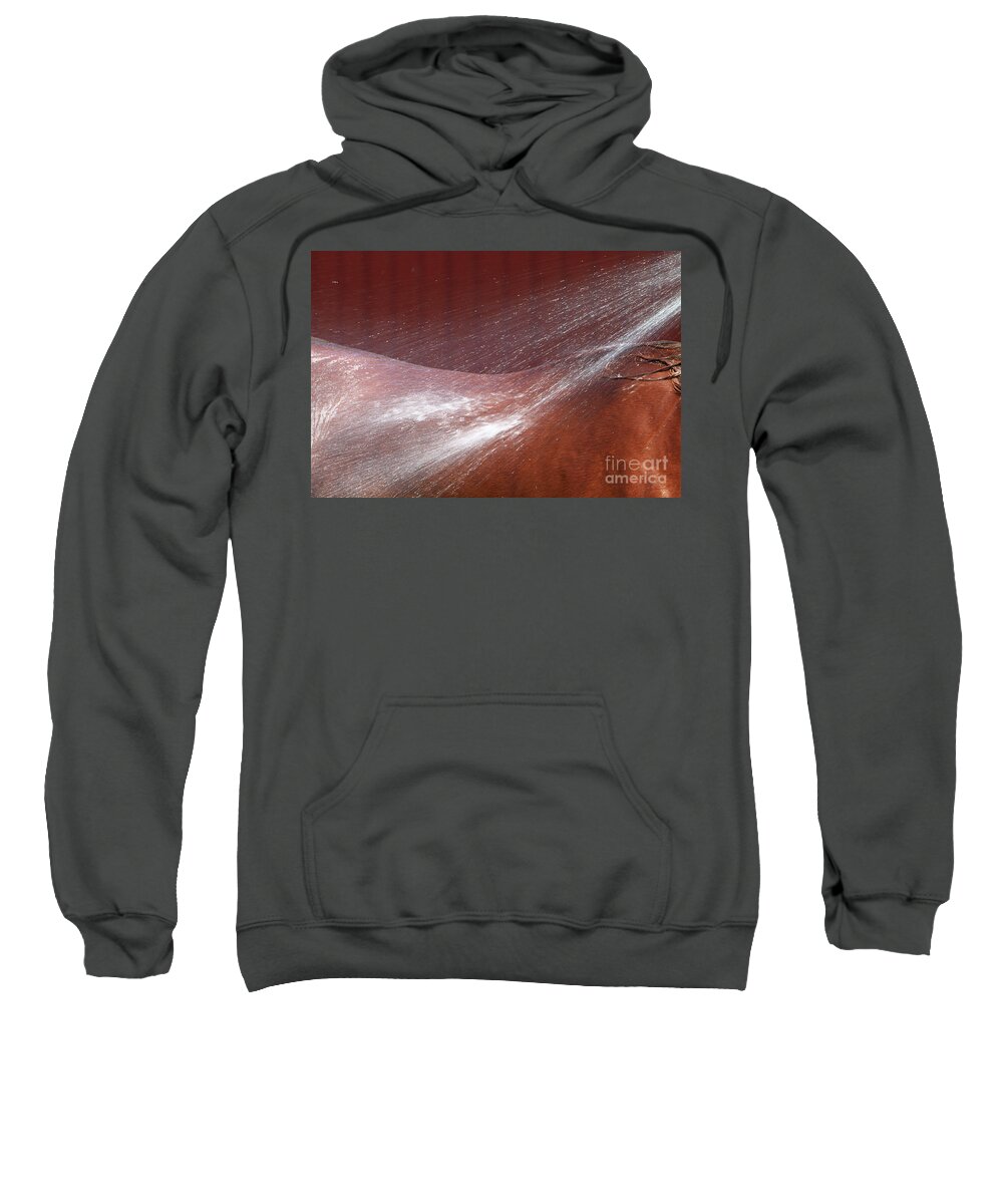 Relief Sweatshirt featuring the photograph Cooling Off by Michelle Twohig