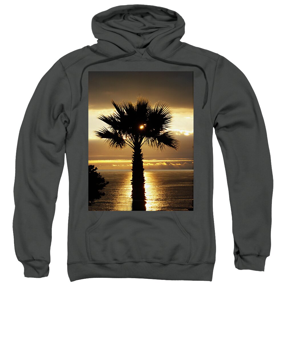 Royal Palms Sweatshirt featuring the photograph Sun and Palm and Sea by Joe Schofield