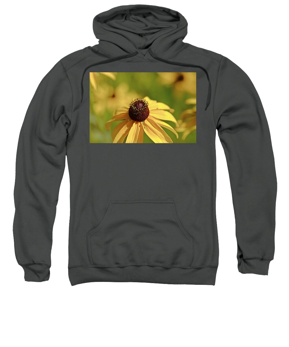 Background Sweatshirt featuring the photograph Sun Crown by Jack R Perry