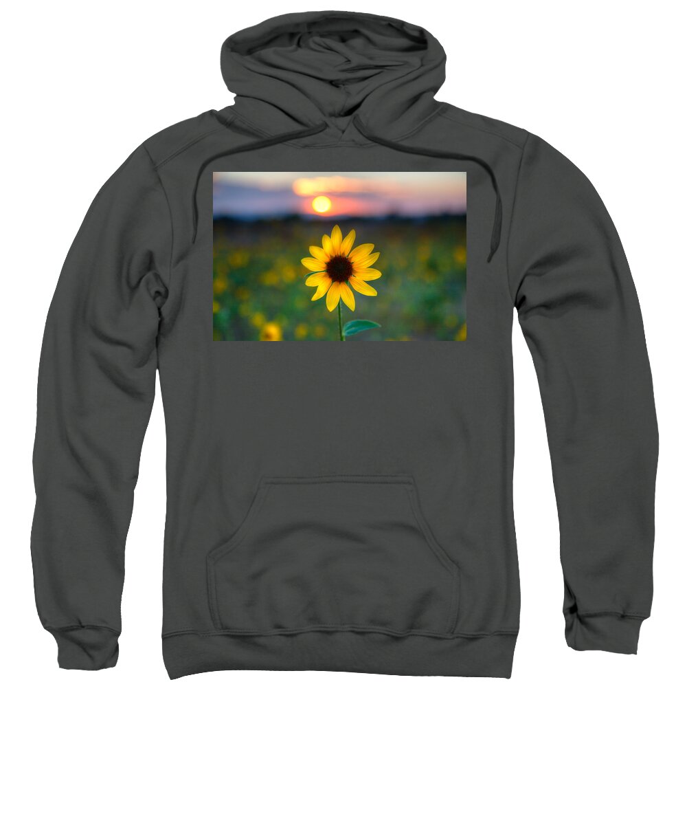 Flowers Sweatshirt featuring the photograph Sun Flower IV by Peter Tellone