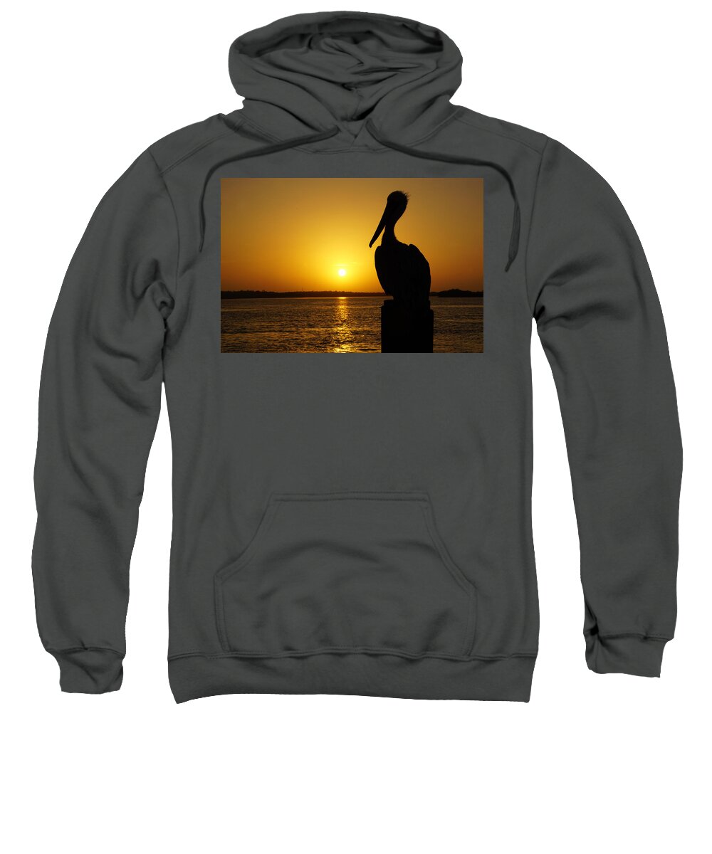 Sunrise Sweatshirt featuring the photograph Sun Pelican by Joey Waves