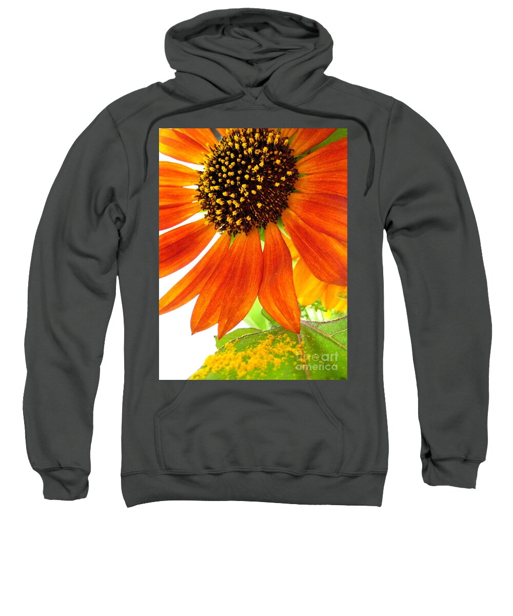 Sunflower Sweatshirt featuring the photograph Sun Up by Kathy Bassett