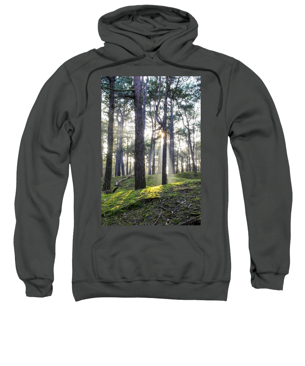 Trees Sweatshirt featuring the photograph Sunlit Trees by Spikey Mouse Photography