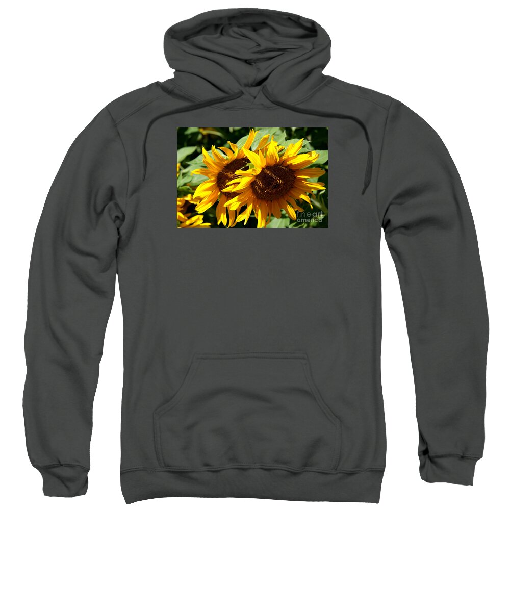 Sunflower Sweatshirt featuring the photograph Sunny Sisters by Christiane Schulze Art And Photography
