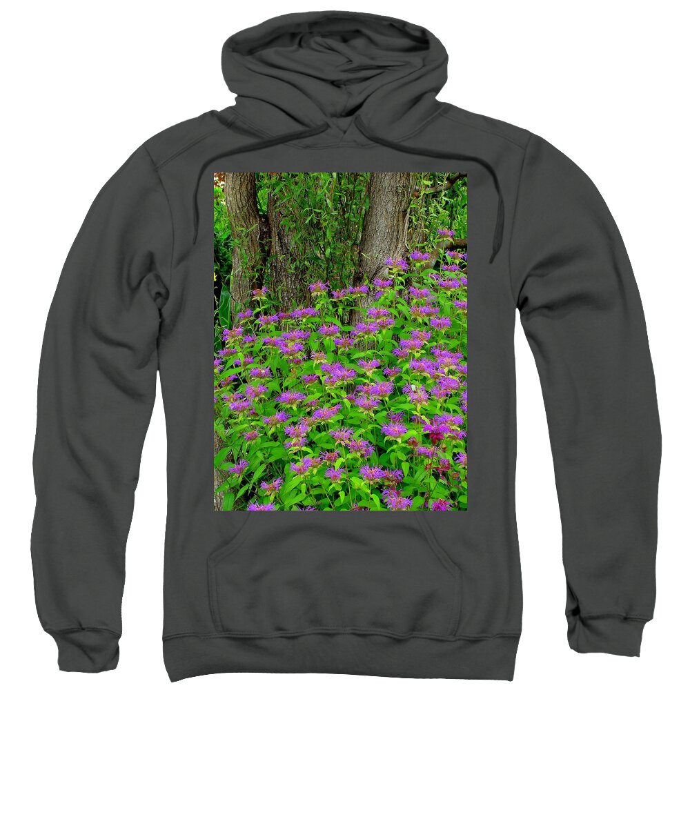 Fine Art Sweatshirt featuring the photograph Surrounded by Rodney Lee Williams