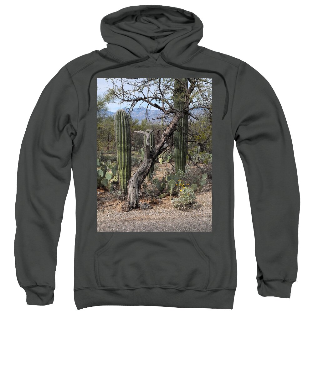 Cactus Sweatshirt featuring the photograph Survivors by Michael McGowan