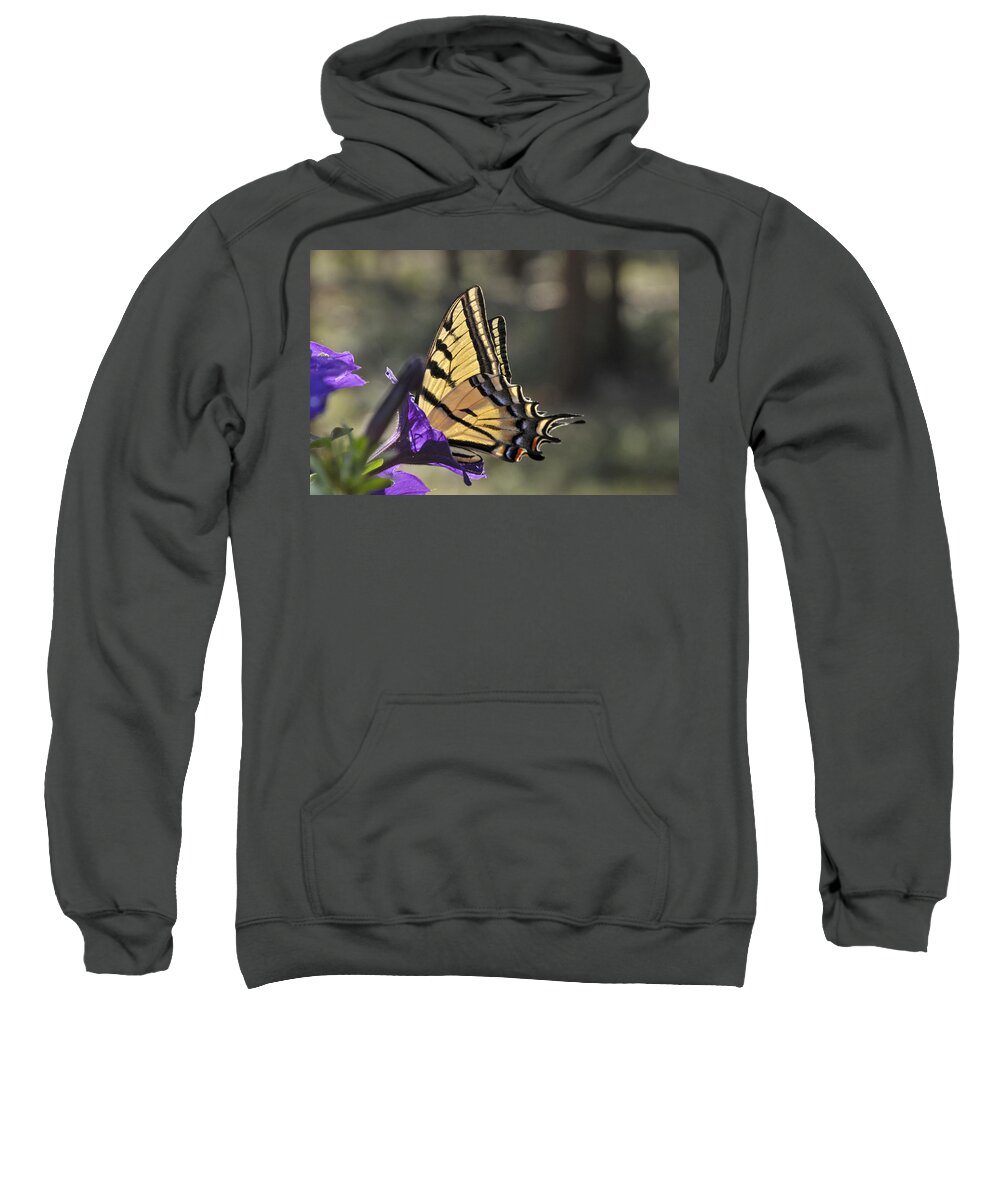 Swallowtail Butterfly Sweatshirt featuring the photograph Swallowtail Butterfly by Ron White