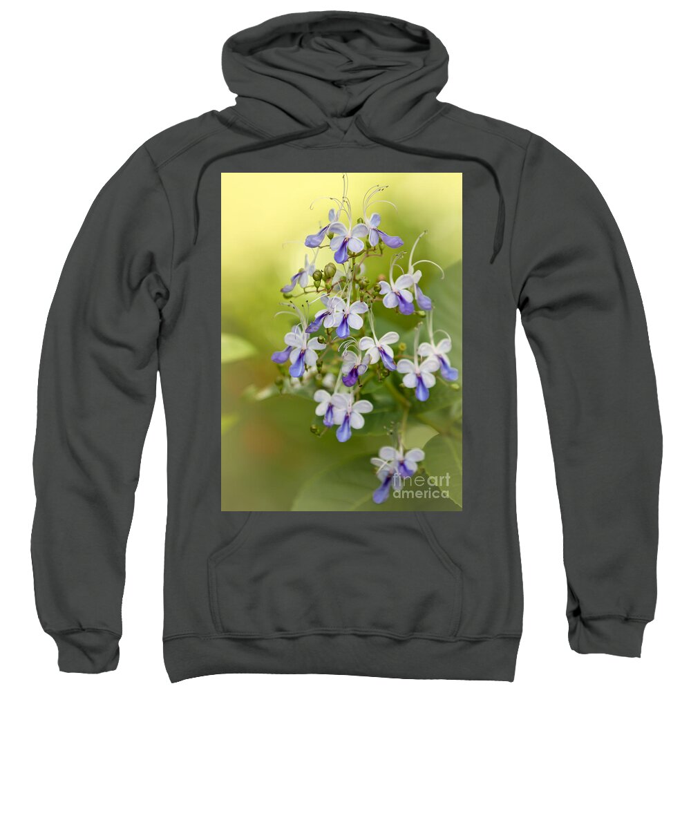 Amazing Sweatshirt featuring the photograph Sweet Butterfly Flowers by Sabrina L Ryan