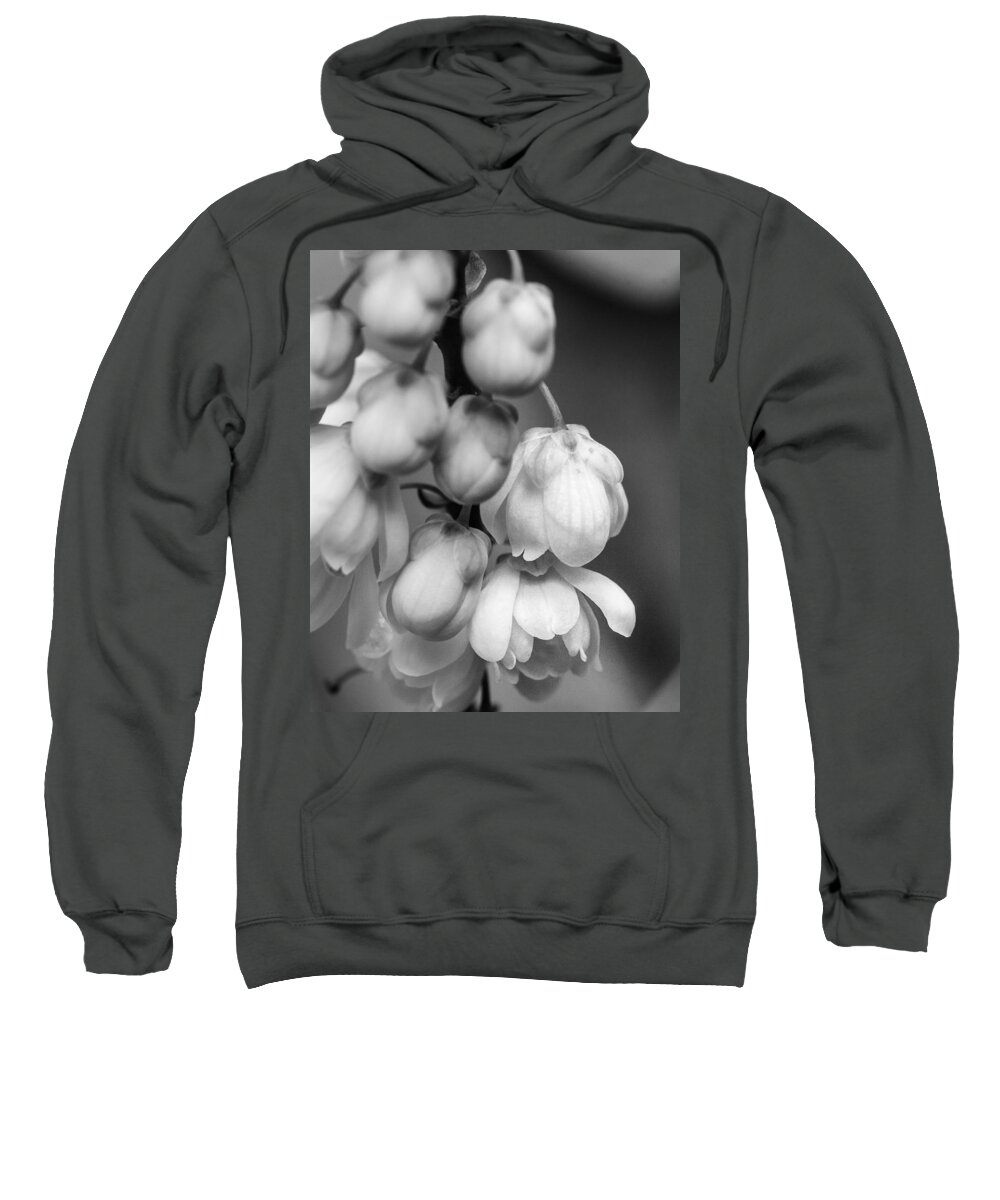 Mahonia Holly Sweatshirt featuring the photograph Sweet Mahonia Bloom by Patricia Schaefer