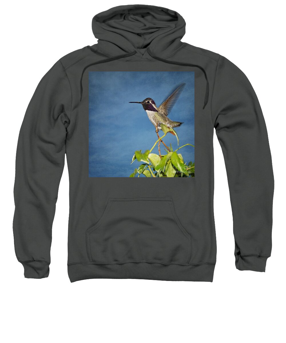 Bird Sweatshirt featuring the photograph Taking Flight by Peggy Hughes