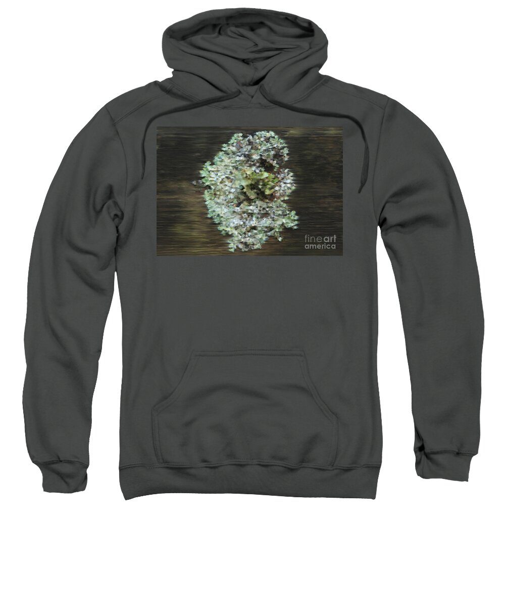Nature Sweatshirt featuring the digital art Tenacity by Michelle Twohig