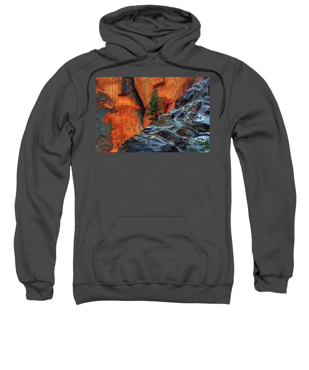 Beauty Sweatshirt featuring the photograph The Beauty Of Sandstone Zion by Bob Christopher
