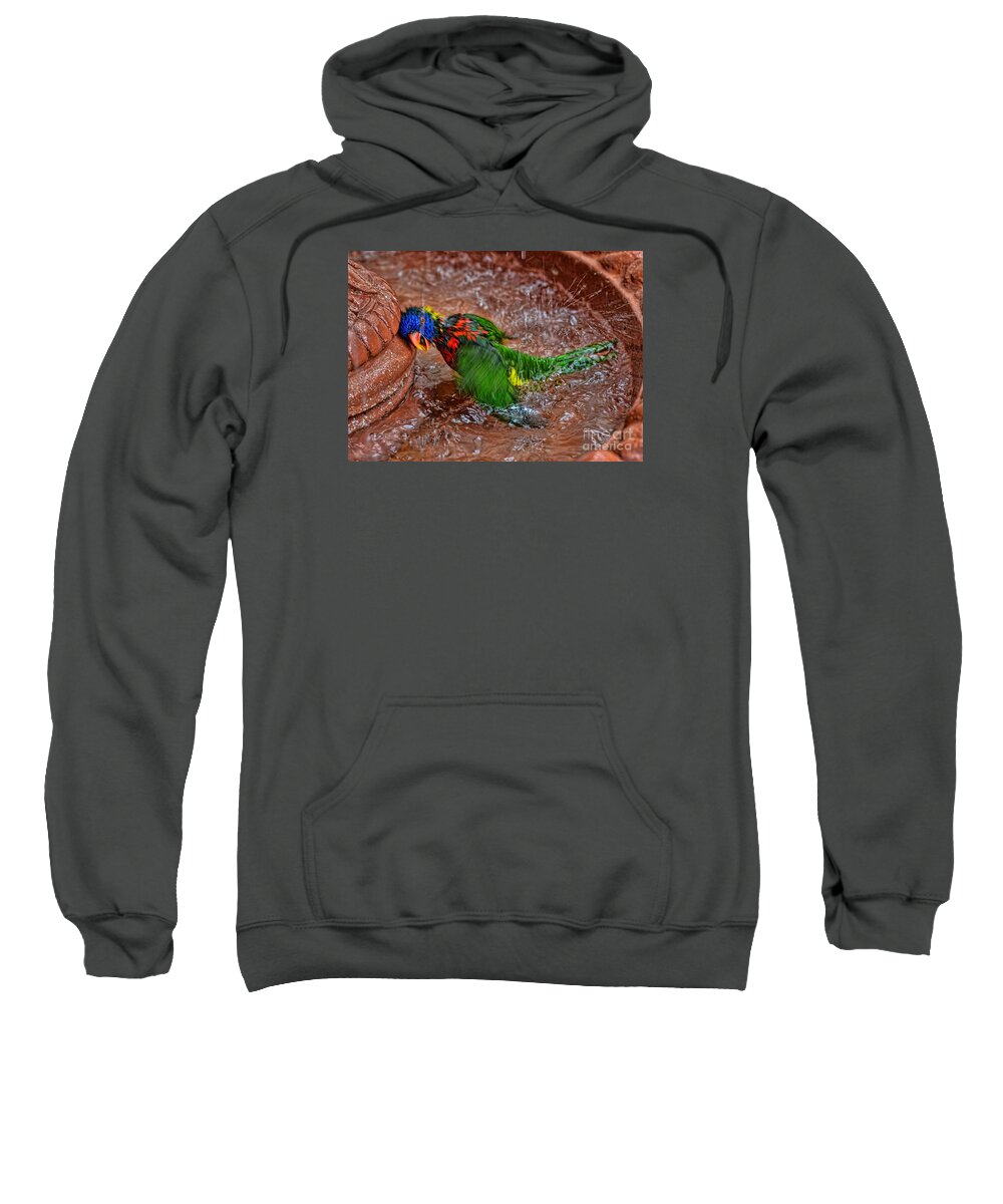 Lorikeet Sweatshirt featuring the photograph The Best Party Ever by Olga Hamilton