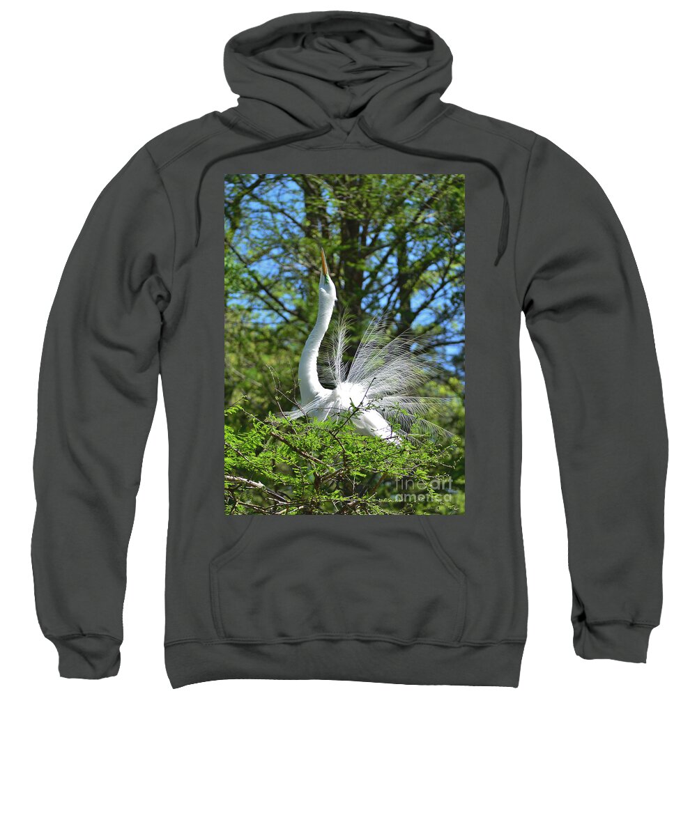 Egret Sweatshirt featuring the photograph The Big Stretch by Kathy Baccari