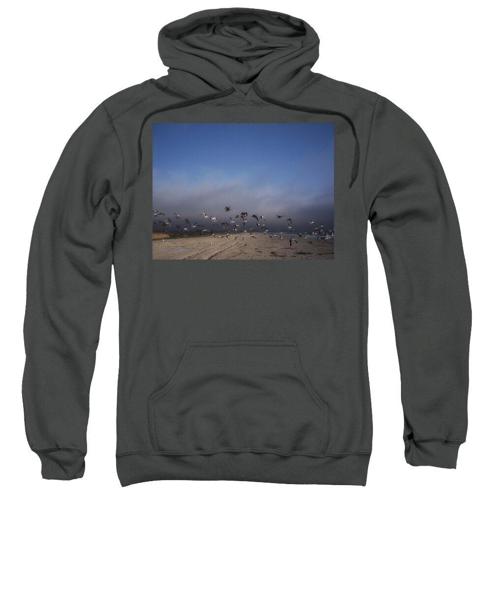 Seagulls Sweatshirt featuring the photograph The Birds by Donna Blackhall