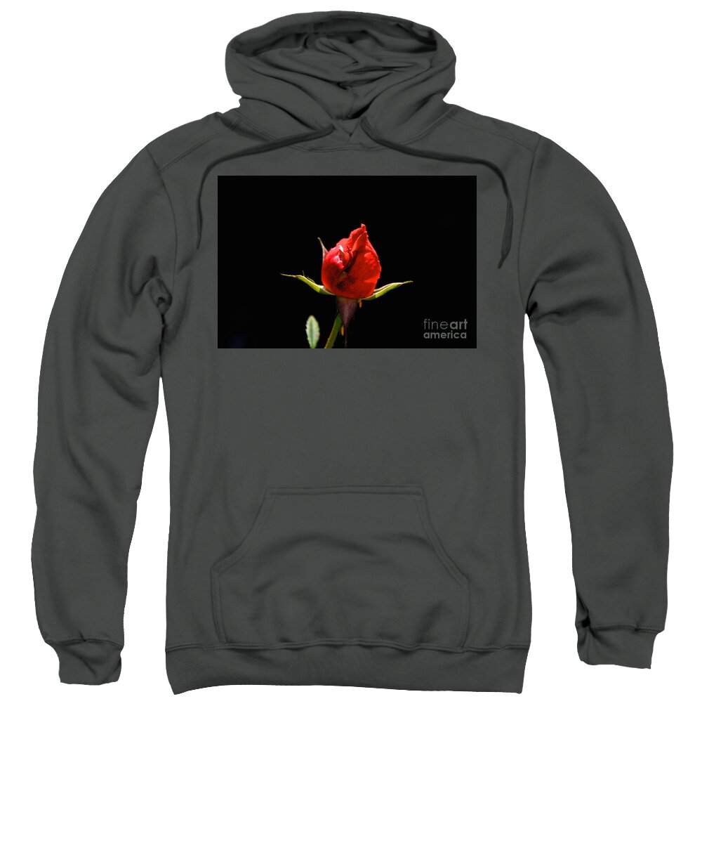 Bud Sweatshirt featuring the photograph The Bud by William Norton