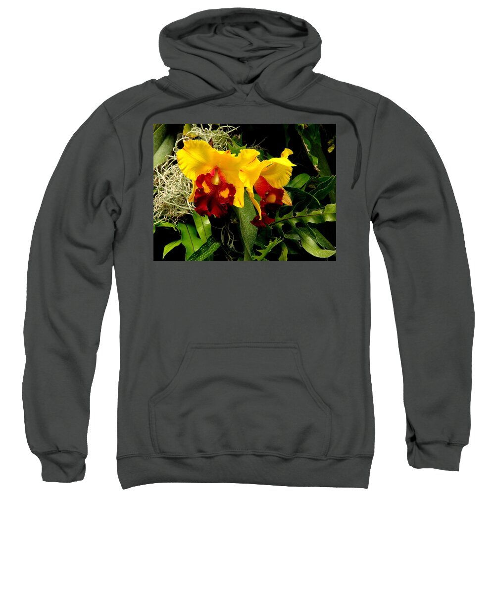 Fine Art Sweatshirt featuring the photograph The Elders by Rodney Lee Williams