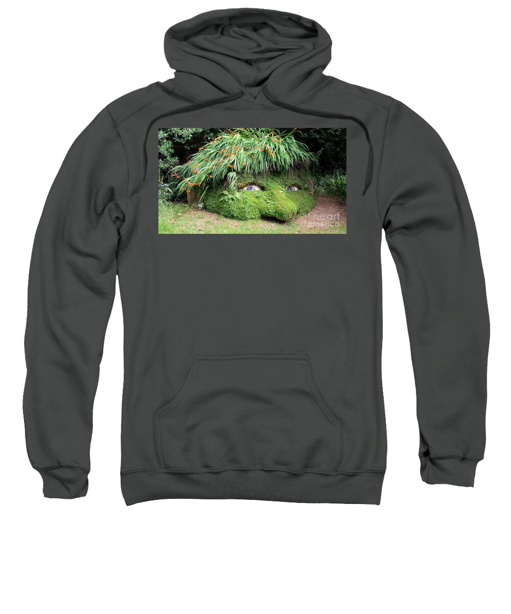 Giant's Head Sweatshirt featuring the photograph The Giant's Head Heligan Cornwall by Richard Brookes