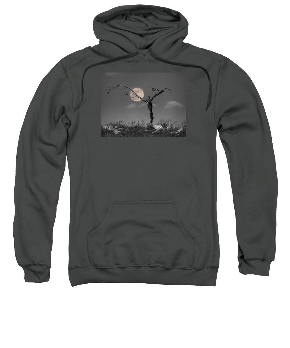 Moon Sweatshirt featuring the photograph The Night by HW Kateley