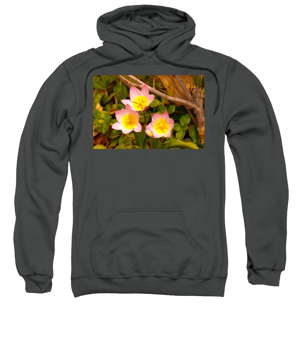 Flowers Sweatshirt featuring the photograph Three Flowers by Jeff Swan