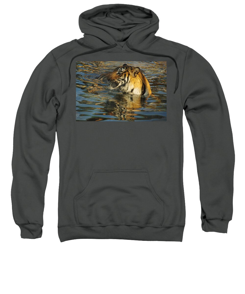 Lions Tigers And Bears Sweatshirt featuring the photograph Tiger 3 by Phyllis Spoor