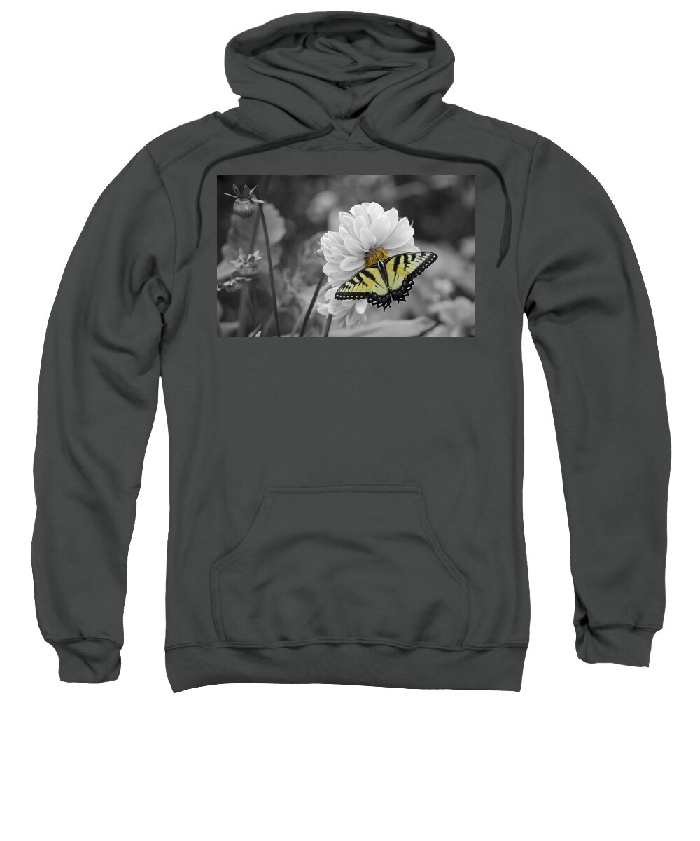 Tiger Butterfly Sweatshirt featuring the photograph Tiger Butterfly by GeeLeesa Productions