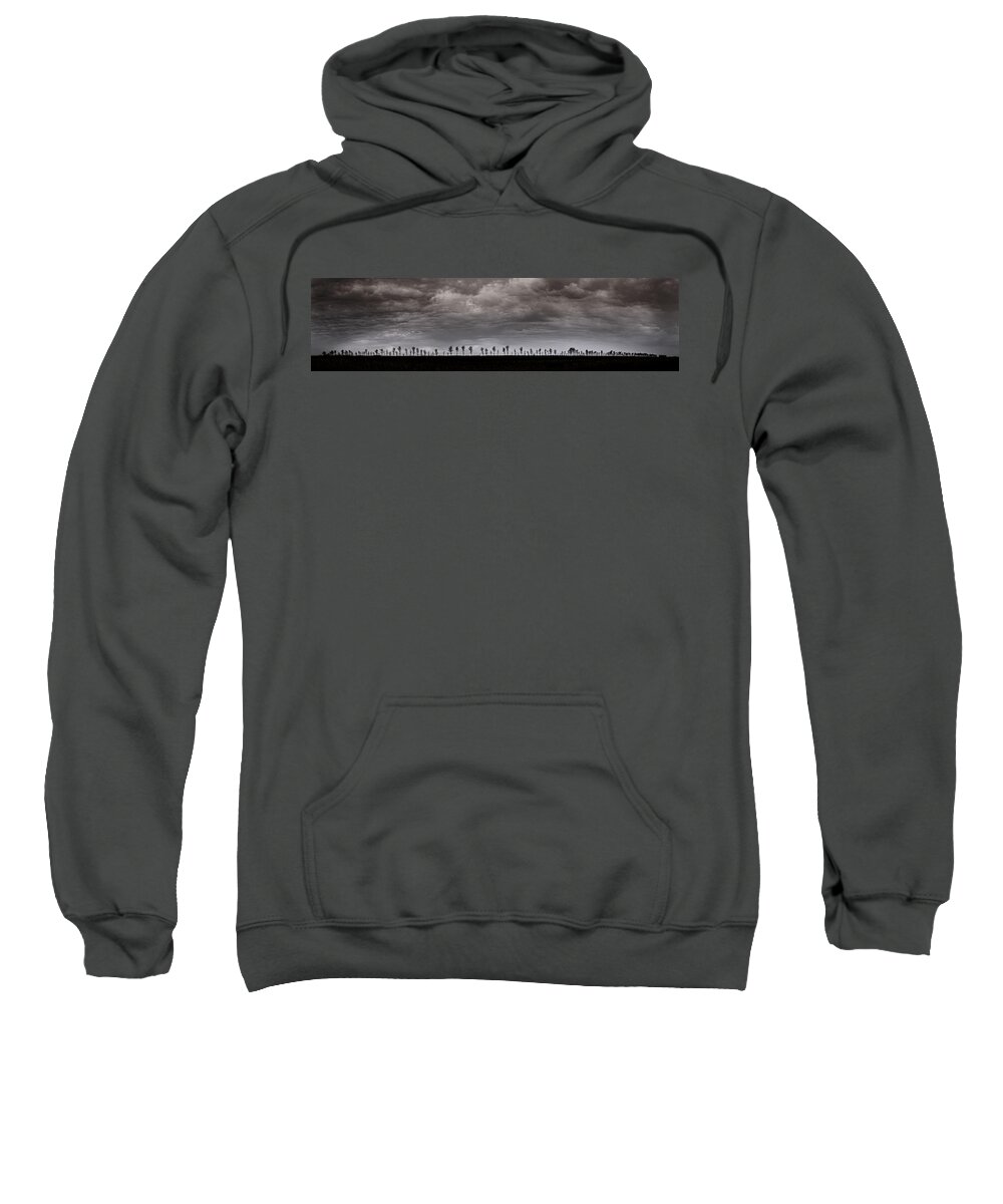 Panorama Sweatshirt featuring the photograph Together We Shall Stand by Sandra Parlow