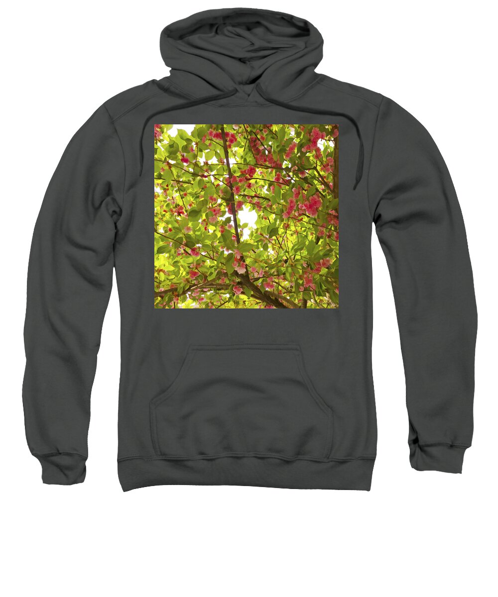 Tree Sweatshirt featuring the photograph Tree Blossom 1 by Joseph Hedaya