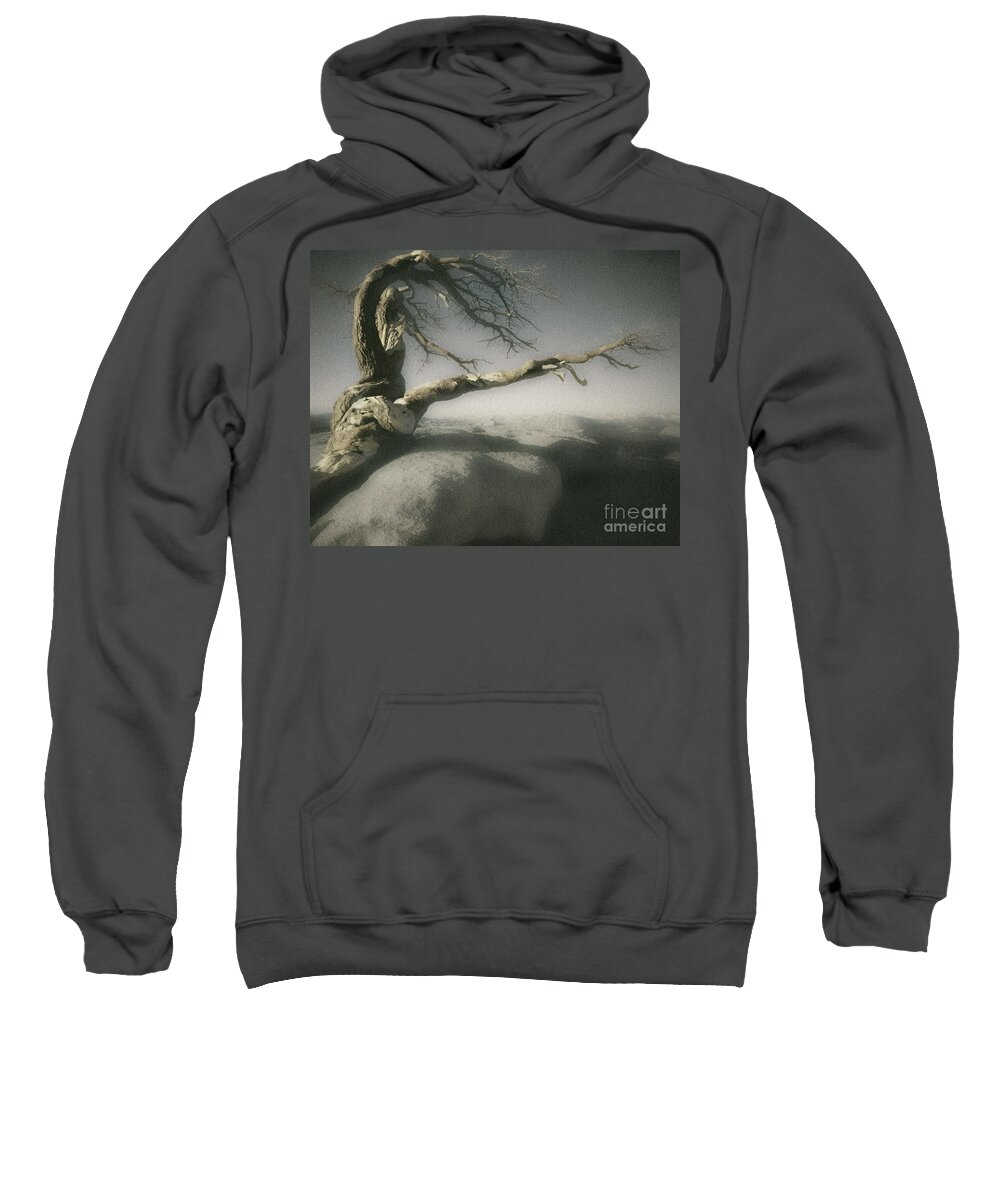 Usa Sweatshirt featuring the photograph Tree of Ages by Edmund Nagele FRPS
