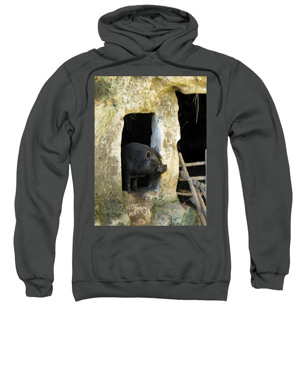 Troglodyte Pig Sweatshirt featuring the photograph Troglodyte Pig by Randi Kuhne