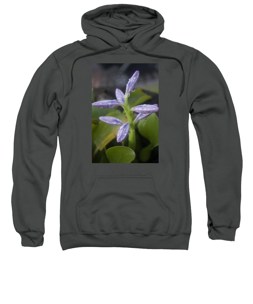 Rain Sweatshirt featuring the photograph Tropical Rains by Miguel Winterpacht