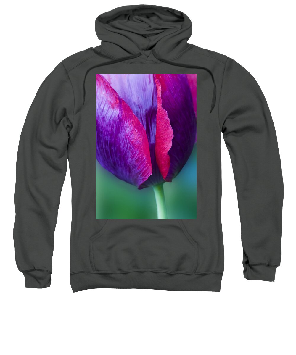 Tulip Print Sweatshirt featuring the photograph Tulip Bright by Diane Fifield