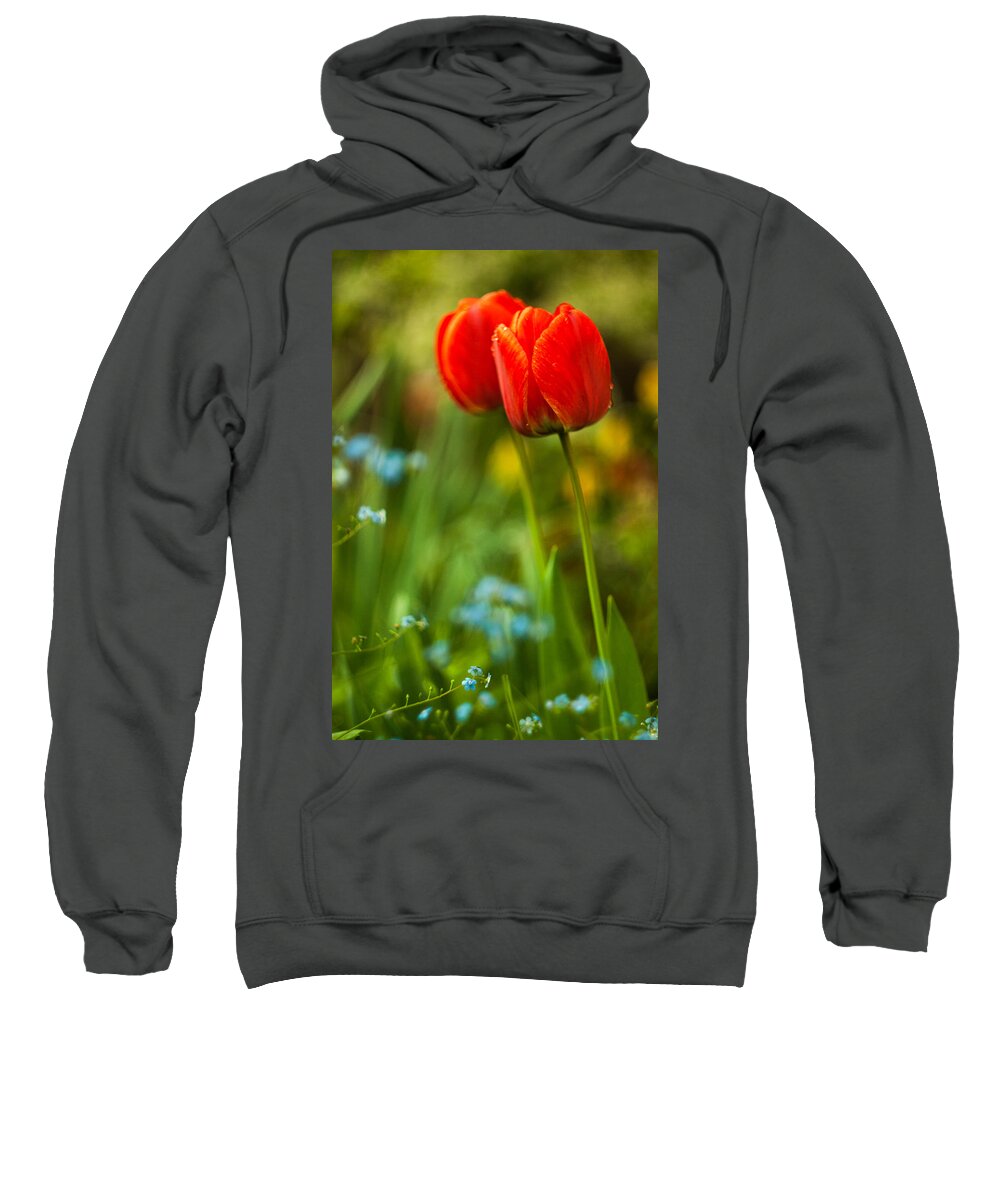 Flowers Sweatshirt featuring the photograph Tulips in garden by Davorin Mance