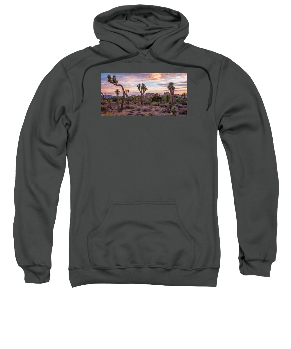 Big Sky Sweatshirt featuring the photograph Twilight comes to Joshua Tree by Peter Tellone