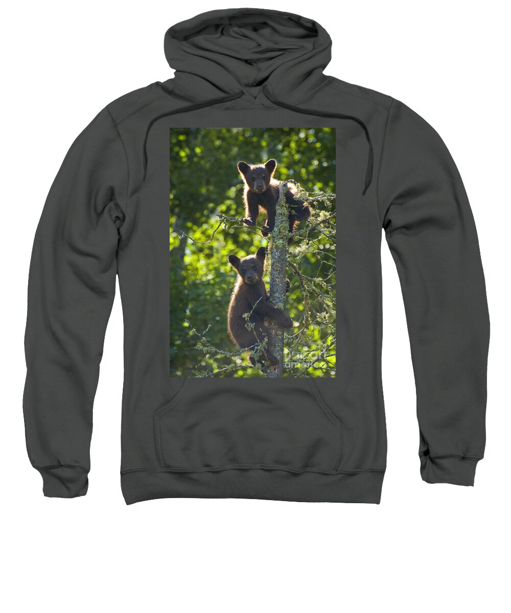 Two Sweatshirt featuring the photograph Two Black Bears by Joan Wallner