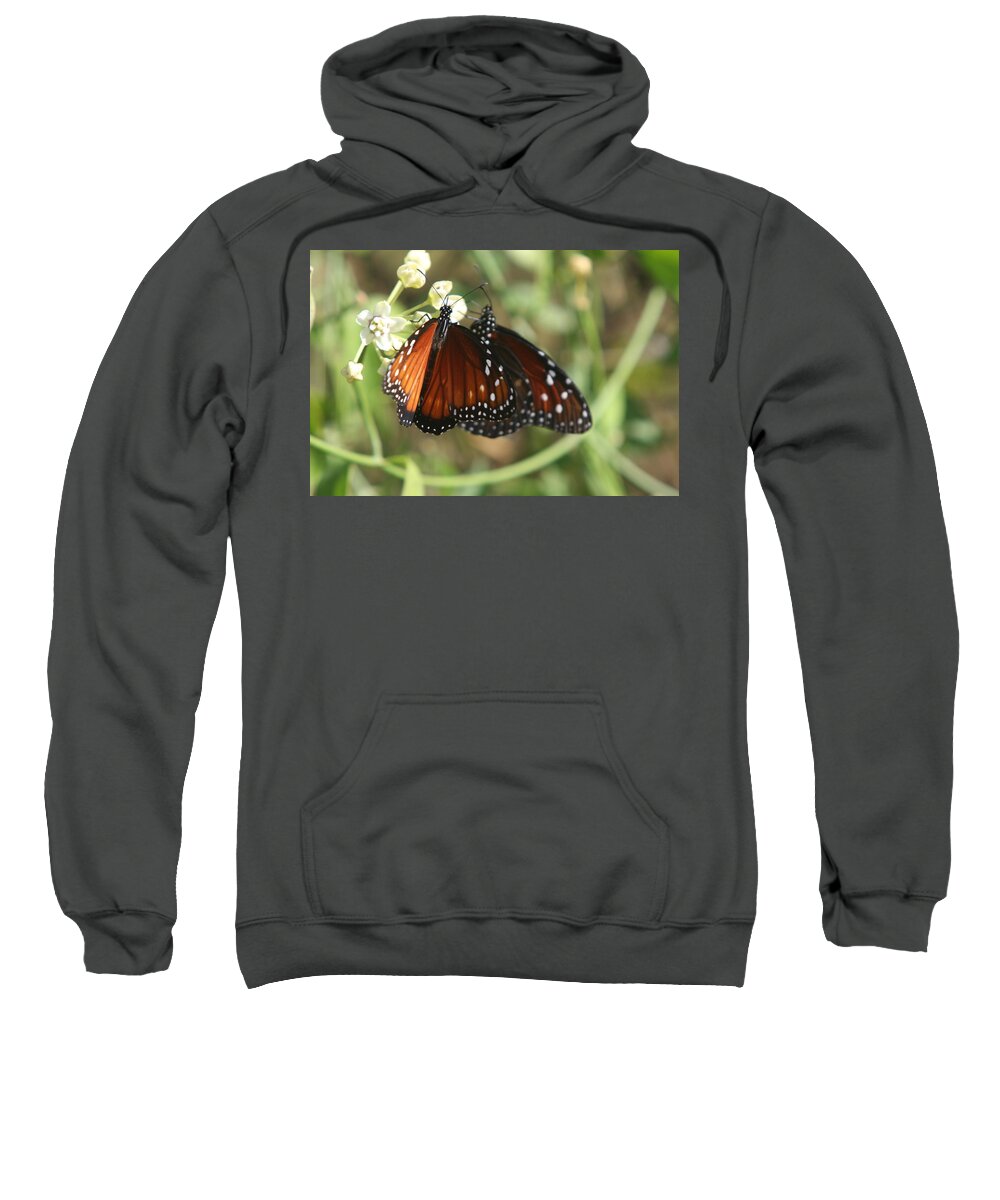 Butterfly Sweatshirt featuring the photograph Two Butterflies by Christiane Schulze Art And Photography