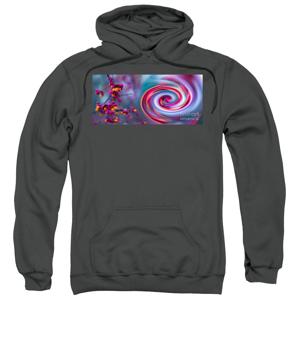 Abstract Sweatshirt featuring the photograph Violet Fall Blossom Collage by Hannes Cmarits