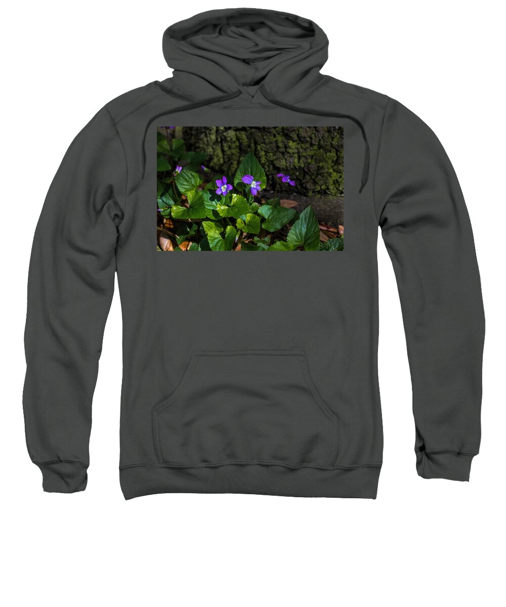 Violets Sweatshirt featuring the photograph Violets by Dorothy Cunningham