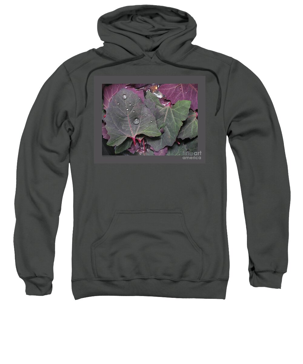 Orach Sweatshirt featuring the photograph Washing Purple Orach by Patricia Overmoyer