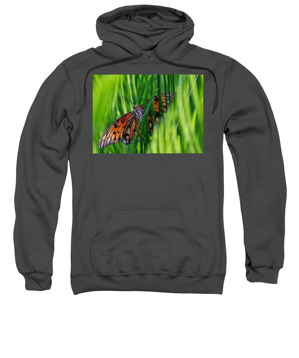 Butterfly.insect.sago Sweatshirt featuring the photograph Watching Me by Farol Tomson