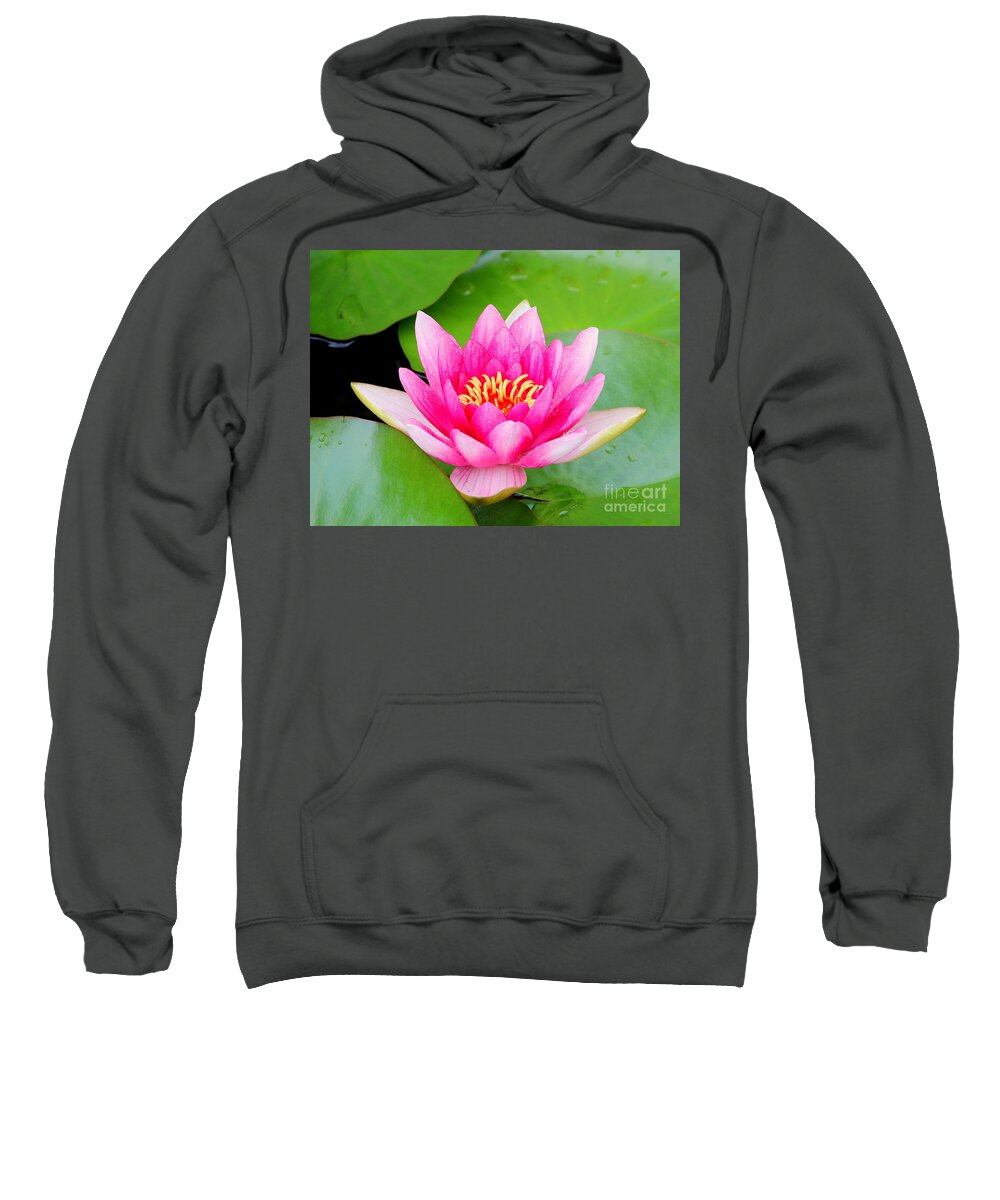 Blossom Sweatshirt featuring the photograph Water lily by Amanda Mohler