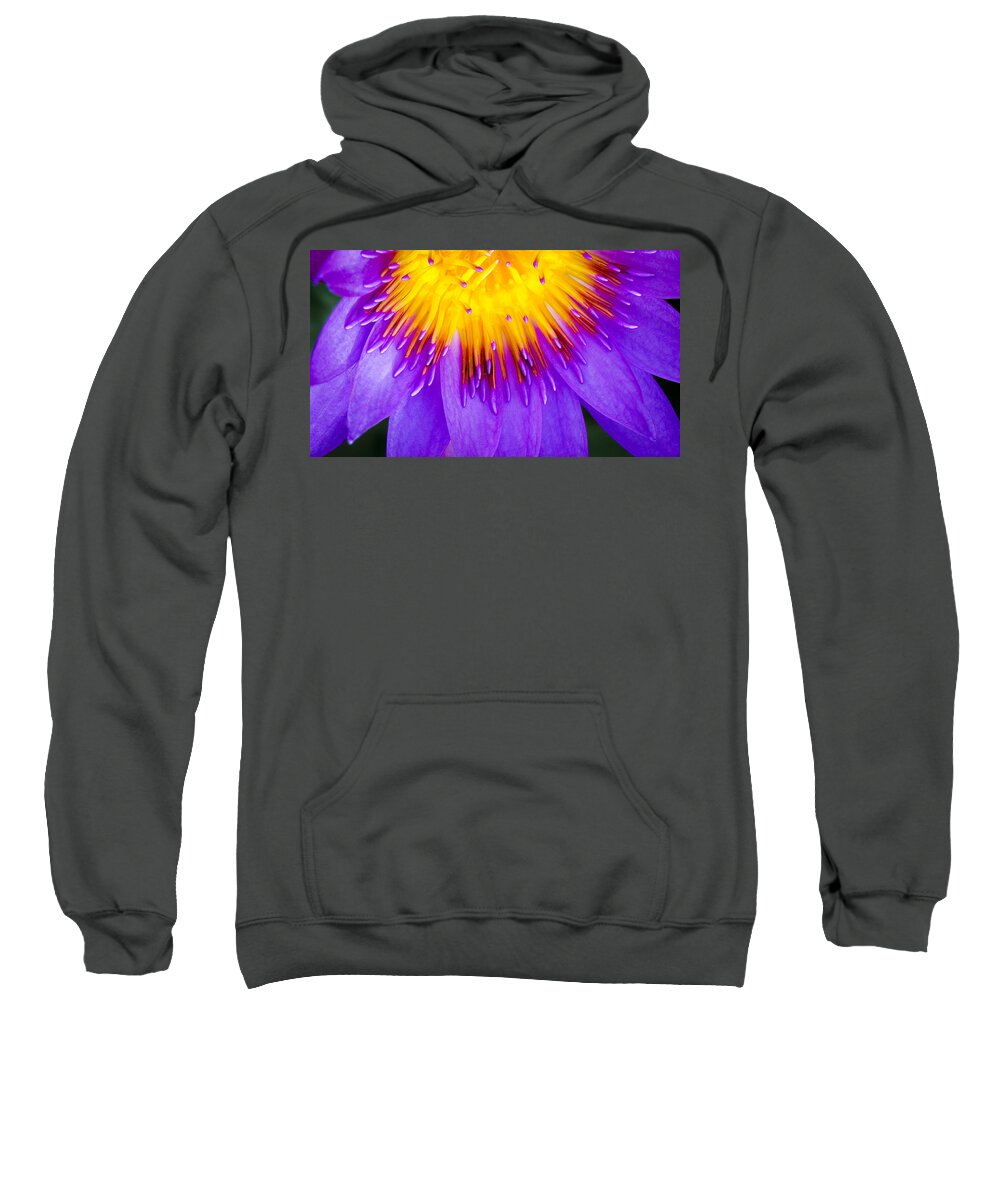  Water Sweatshirt featuring the photograph Water Lily by Will Wagner