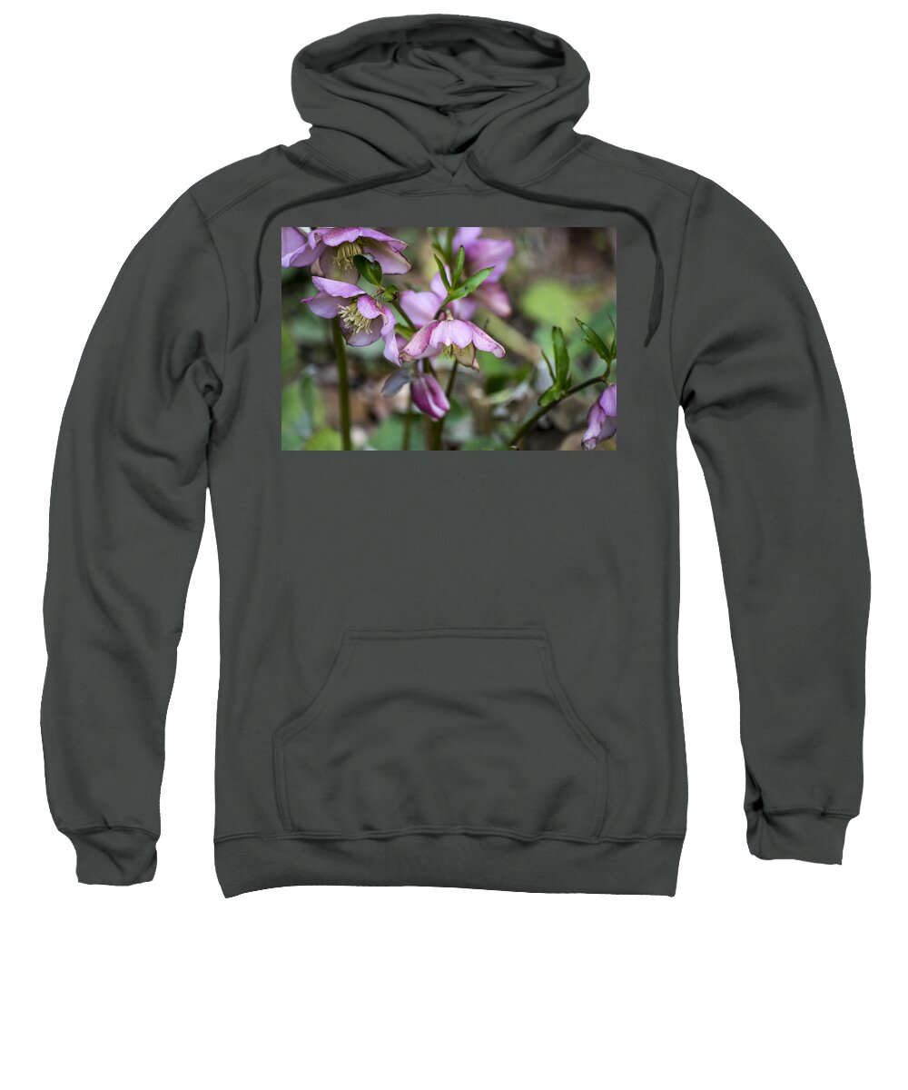 Pink Sweatshirt featuring the photograph Welcome Spring Flowers by Spikey Mouse Photography