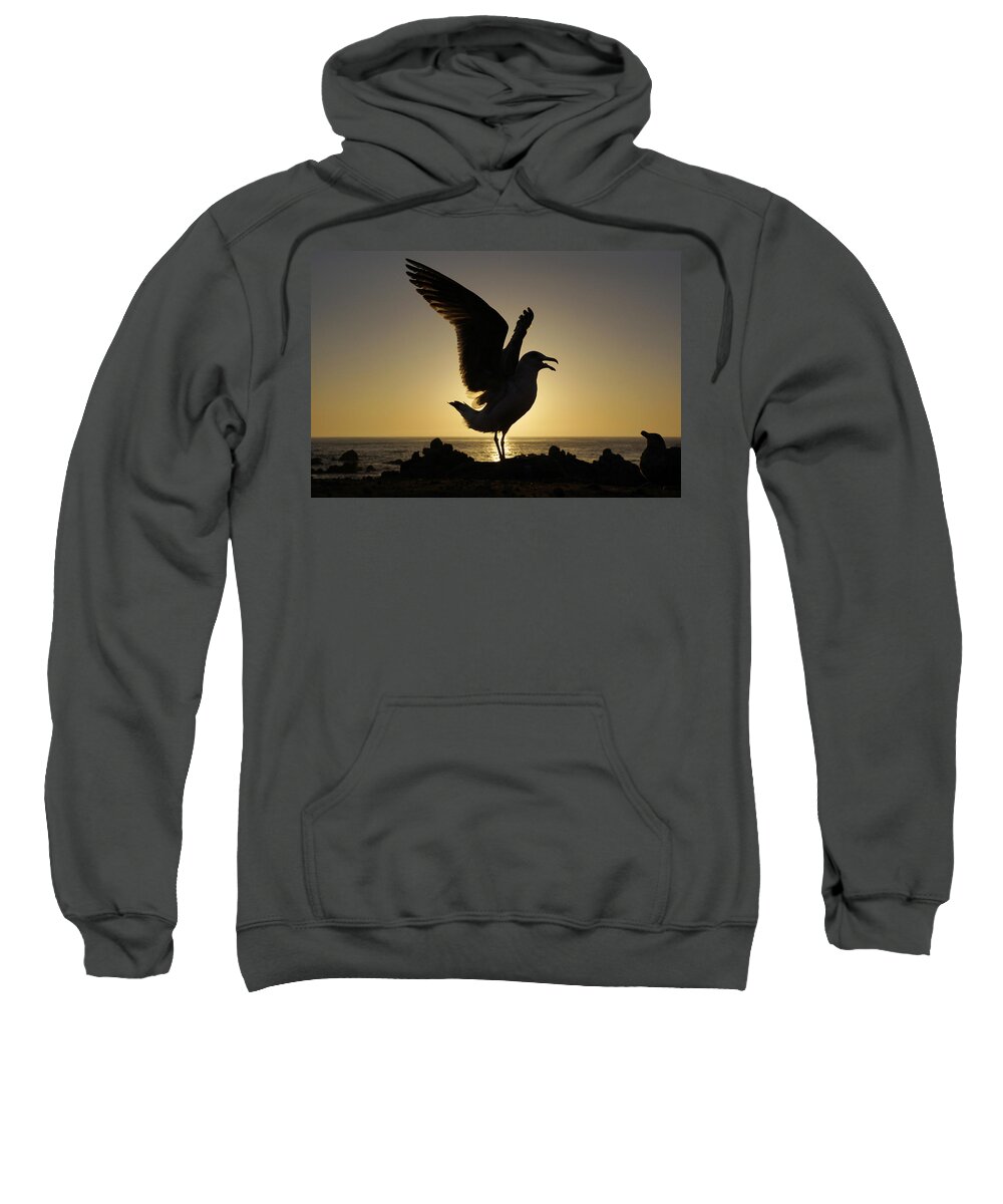Feb0514 Sweatshirt featuring the photograph Western Gull Stretching At Sunset by Hiroya Minakuchi