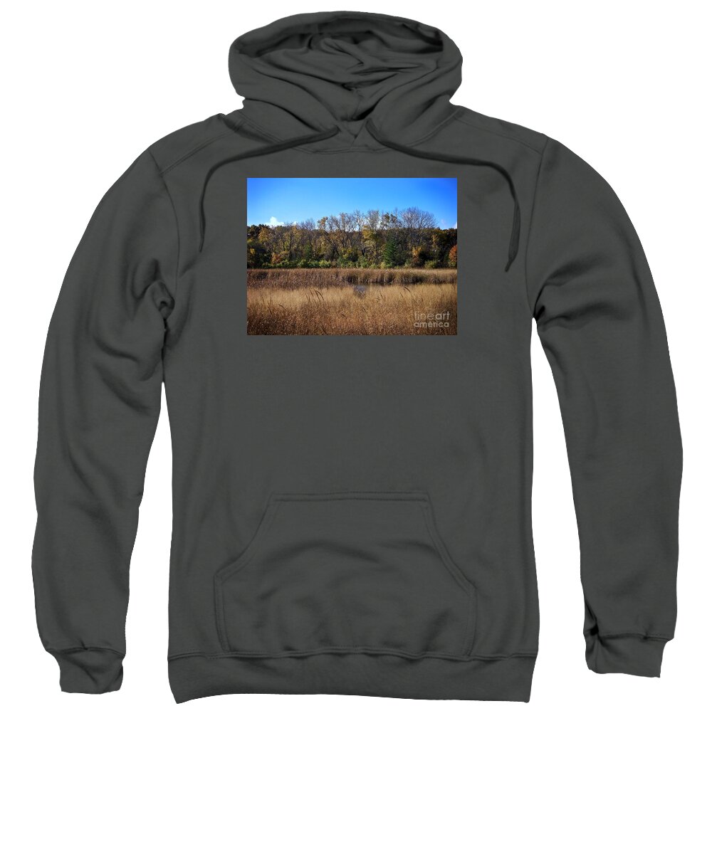 Illinois Sweatshirt featuring the photograph Wetlands in the Preserve - Autumn by Frank J Casella