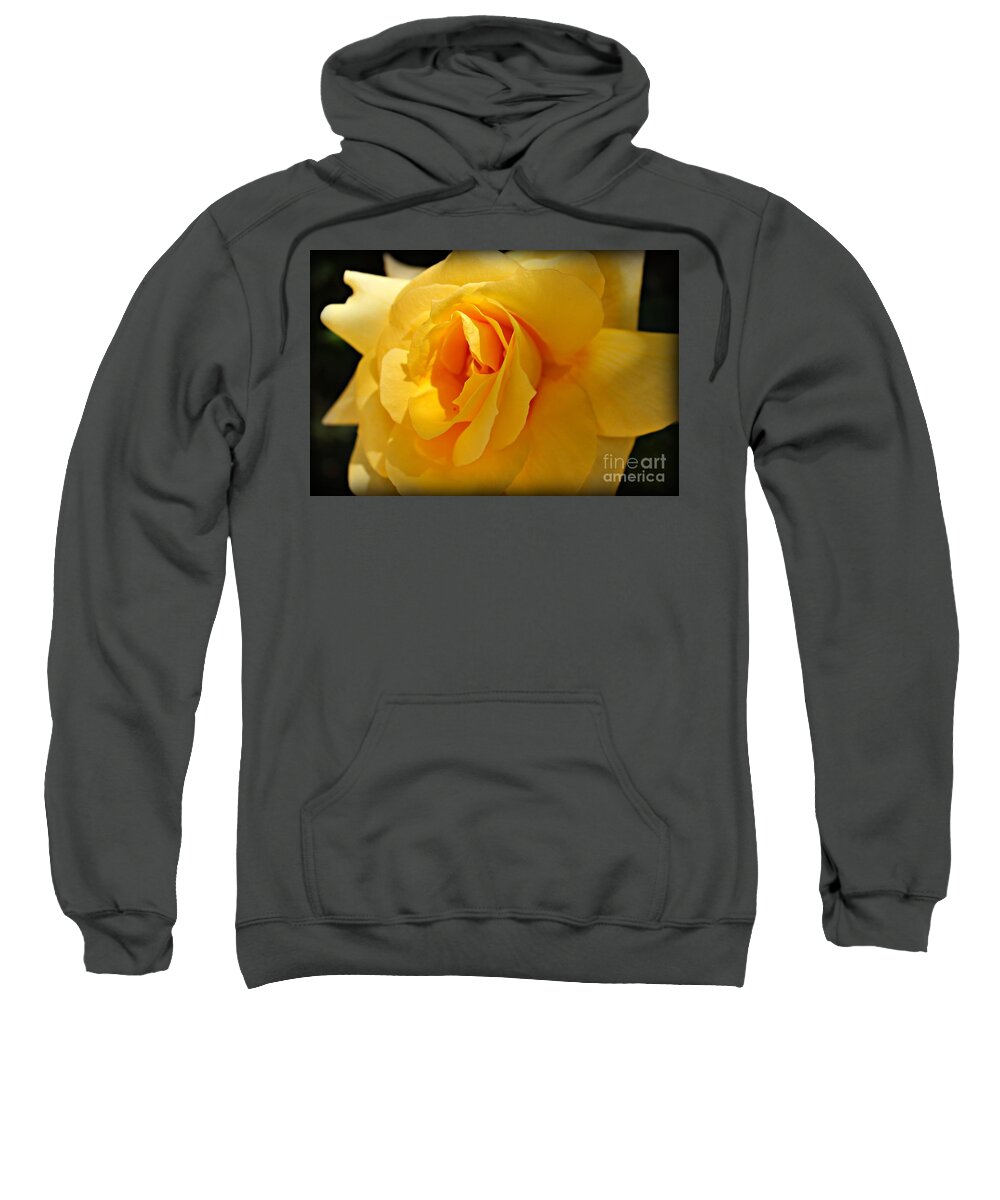 Roses Sweatshirt featuring the photograph What a Stunner by Clare Bevan