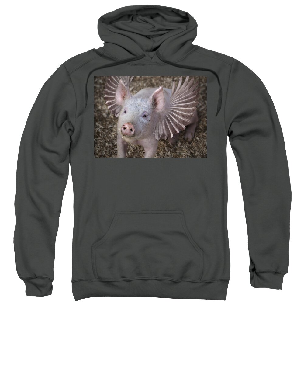 Pig Sweatshirt featuring the digital art When Pigs Fly by Rick Mosher